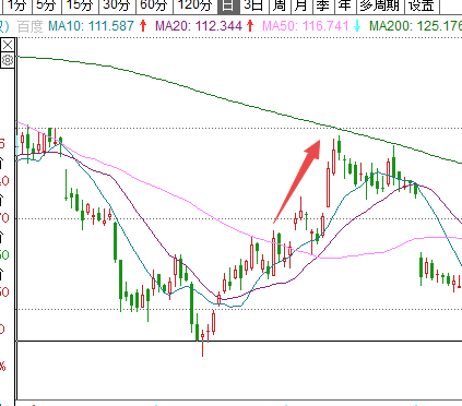 Dan Zanger：穿越股票丛林的指南