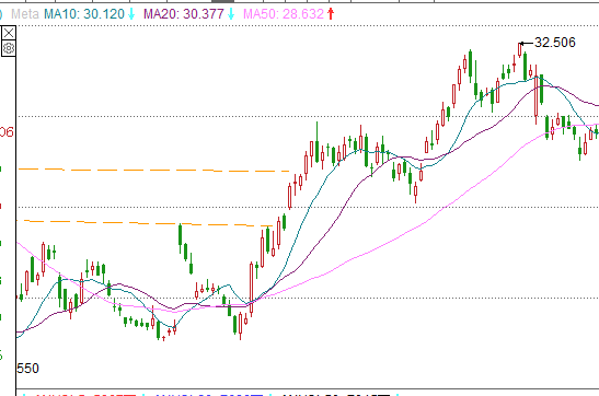 Dan Zanger：穿越股票丛林的指南