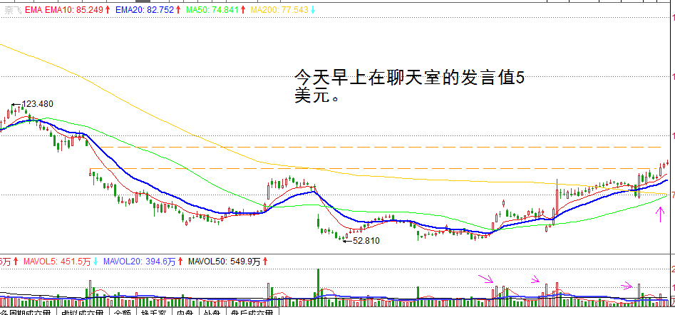 Dan Zanger：穿越股票丛林的指南