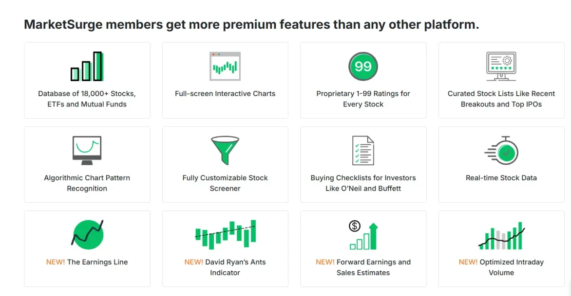 MarketSurge/marketsmith Annual Membership