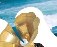 Dan Zanger:波动性是股票的风向标