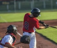 Dan Zanger:识别价格行为