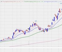 丹·赞格的大赢家