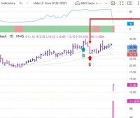 内在风险的另一个例子～Note from Mark Minervini