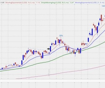 丹·赞格的大赢家