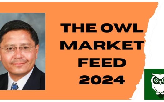Gil Morales- The owl market feed 2024 会员订阅跟着吉尔学习交易